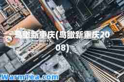 鸟瞰新重庆(鸟瞰新重庆2008)