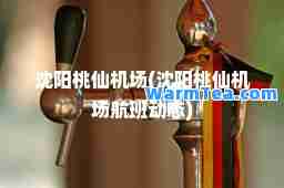 沈阳桃仙机场(沈阳桃仙机场航班动态)