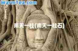 南天一柱(南天一柱石)