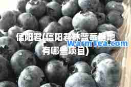 信阳君(信阳君林蓝莓基地有哪些项目)