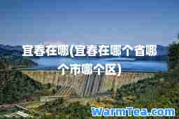 宜春在哪(宜春在哪个省哪个市哪个区)