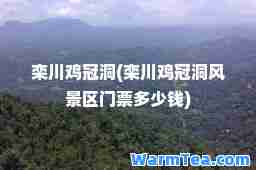 栾川鸡冠洞(栾川鸡冠洞风景区门票多少钱)