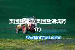美国盐湖城(美国盐湖城简介)