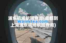 浦东机场航班查询(成都到上海浦东机场航班查询)