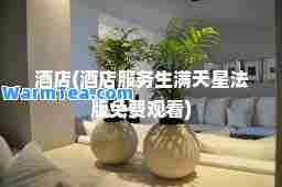酒店(酒店服务生满天星法版免费观看)