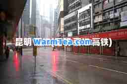 昆明 丽江(昆明 丽江 高铁)
