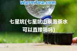七星坑(七星坑山泉泡茶水可以直接喝吗)
