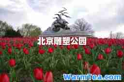 北京雕塑公园