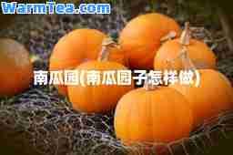 南瓜园(南瓜园子怎样做)