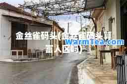 金丝雀码头(金丝雀码头算富人区吗)