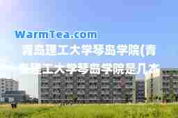 青岛理工大学琴岛学院(青岛理工大学琴岛学院是几本)