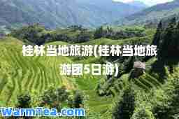 桂林当地旅游(桂林当地旅游团5日游)