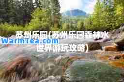 苏州乐园(苏州乐园森林水世界游玩攻略)