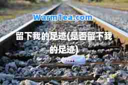 留下我的足迹(是否留下我的足迹)