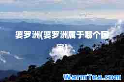 婆罗洲(婆罗洲属于哪个国家)