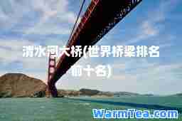 清水河大桥(世界桥梁排名前十名)