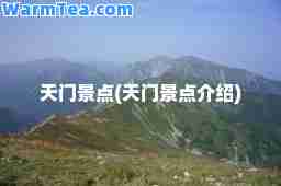 天门景点(天门景点介绍)