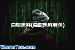 白帽黑客(白帽黑客老鱼)