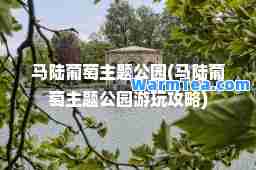 马陆葡萄主题公园(马陆葡萄主题公园游玩攻略)
