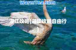 湛江攻略(湛江攻略自由行)