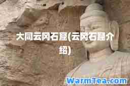 大同云冈石窟(云冈石窟介绍)