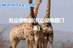 红山动物园(红山动物园门票)
