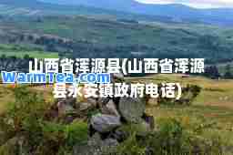 山西省浑源县(山西省浑源县永安镇政府电话)