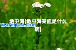 地中海(地中海贫血是什么病)