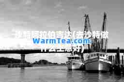 沙特吉达(去沙特做什么生意好)