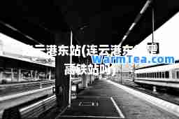连云港东站(连云港东站是高铁站吗)