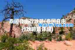 泰国自由行攻略(泰国自由行攻略最详细)