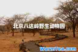 北京八达岭野生动物园