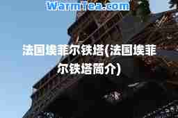 法国埃菲尔铁塔(法国埃菲尔铁塔简介)