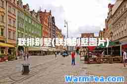 联排别墅(联排别墅图片)