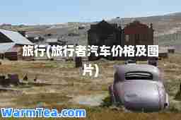 旅行(旅行者汽车价格及图片)