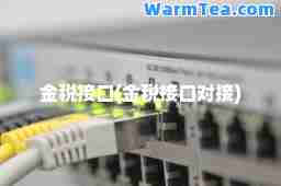 金税接口(金税接口对接)