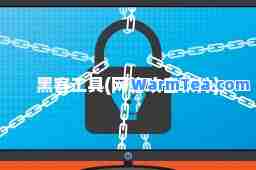 黑客工具(网络攻击软件)