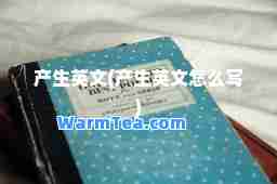 产生英文(产生英文怎么写)