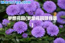 梦想花园(梦想花园赚钱版)