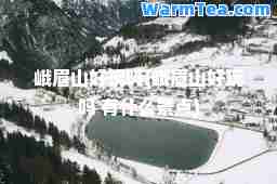 峨眉山好玩吗(峨眉山好玩吗 有什么景点)