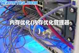 内存优化(内存优化管理器)