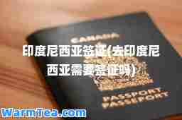 印度尼西亚签证(去印度尼西亚需要签证吗)