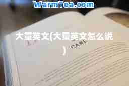 大量英文(大量英文怎么说)