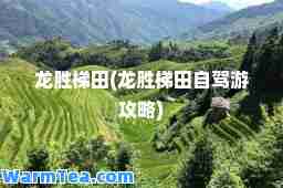 龙胜梯田(龙胜梯田自驾游攻略)
