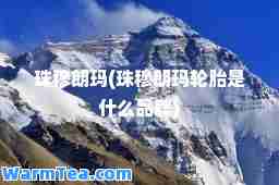珠穆朗玛(珠穆朗玛轮胎是什么品牌)