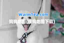 狗狗地图(搜狗地图下载)