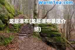 龙居瀑布(龙居瀑布景区介绍)
