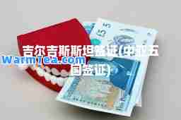 吉尔吉斯斯坦签证(中亚五国签证)