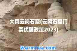 大同云岗石窟(云冈石窟门票优惠政策2023)