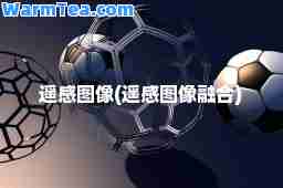 遥感图像(遥感图像融)